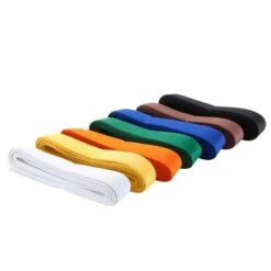 CEINTURE ARTS MARTIAUX PIQUÉE 3.00 M VERTE -ProSportif Boutique ceinture arts martiaux piquee 300 m noire 2