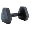 CORENGTH HALTERE HEX DUMBBELL 7.5KG -ProSportif Boutique haltere hex dumbbell 75kg
