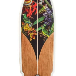 LONGBOARD SURFSKATE CRUISING 32" CARVE 540 BIRD -ProSportif Boutique longboard surfskate carve 540 bird 3